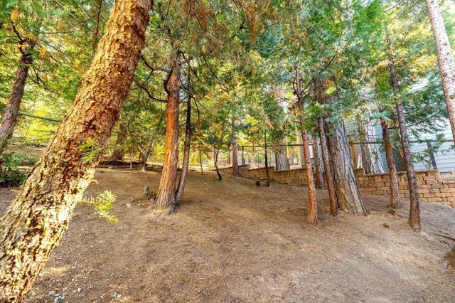 25262 Deer Path Road, Idyllwild, CA 92549