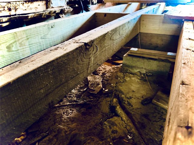 2250 W Kaufman Street, Paris, TX 75460