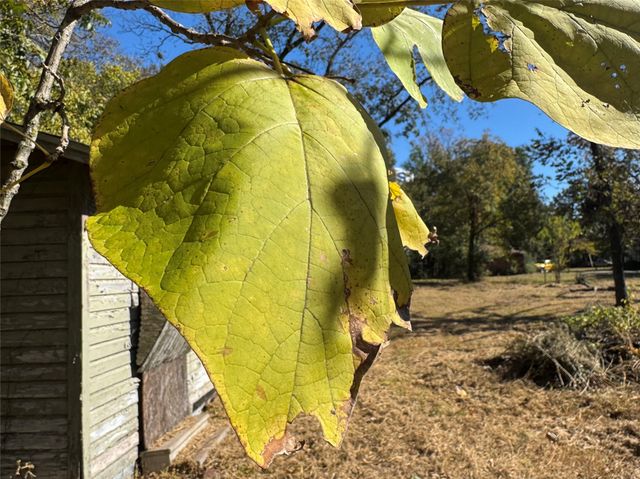 2250 W Kaufman Street, Paris, TX 75460