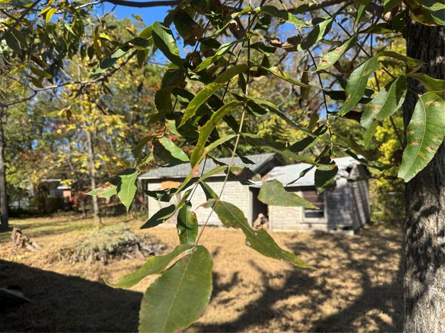 2250 W Kaufman Street, Paris, TX 75460