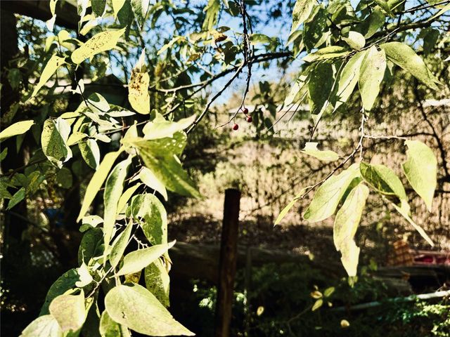 2250 W Kaufman Street, Paris, TX 75460