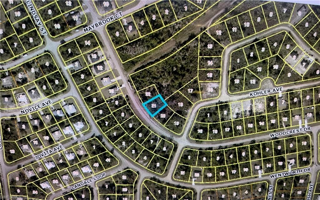 730 Woodcrest DR, LEHIGH ACRES, FL 33972 — photo 2