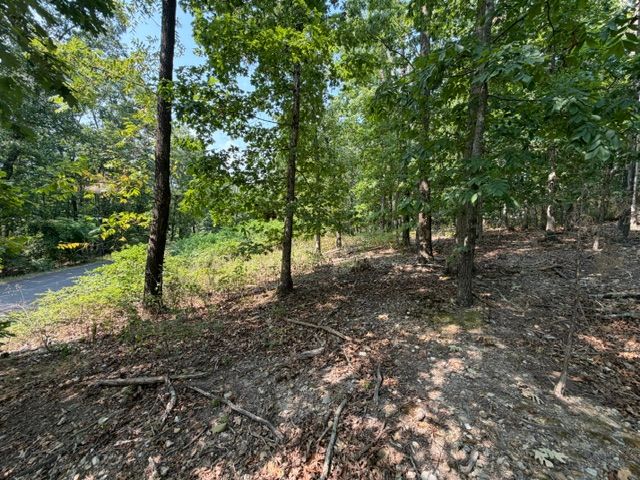 11 Dickenshire Circle, Bella Vista, AR 72714