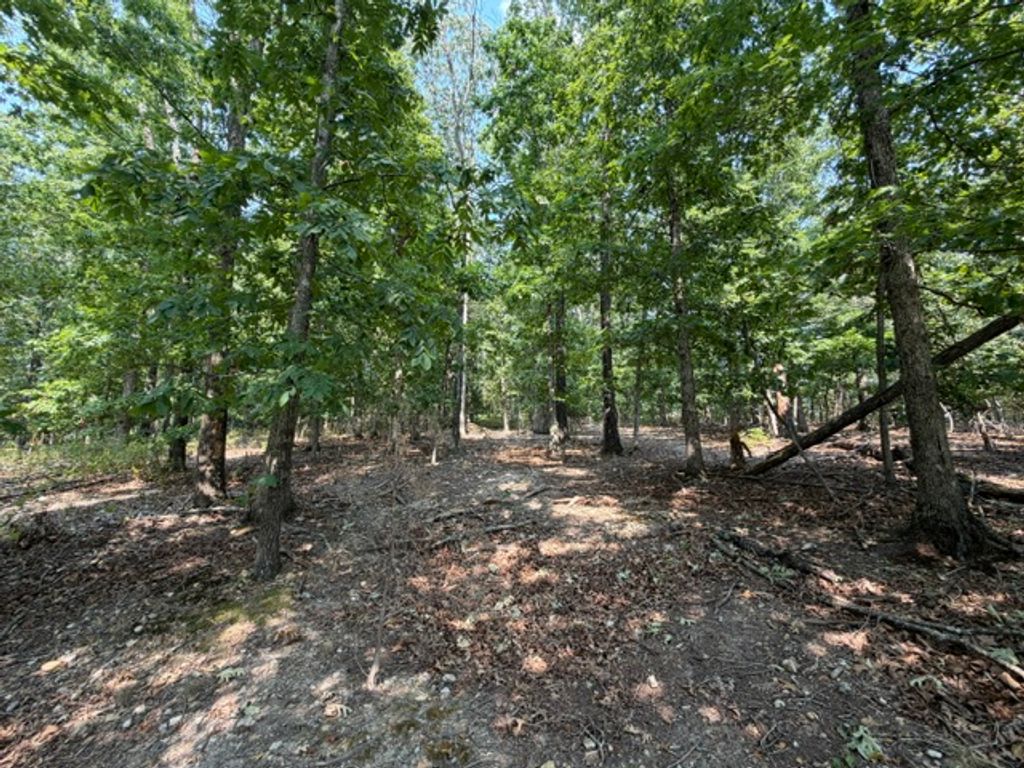 11 Dickenshire Circle, Bella Vista, AR 72714