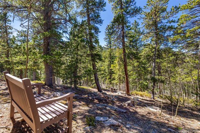 260 Pine Drive, Idaho Springs, CO 80452