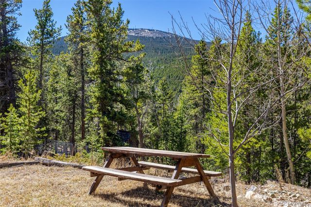 260 Pine Drive, Idaho Springs, CO 80452