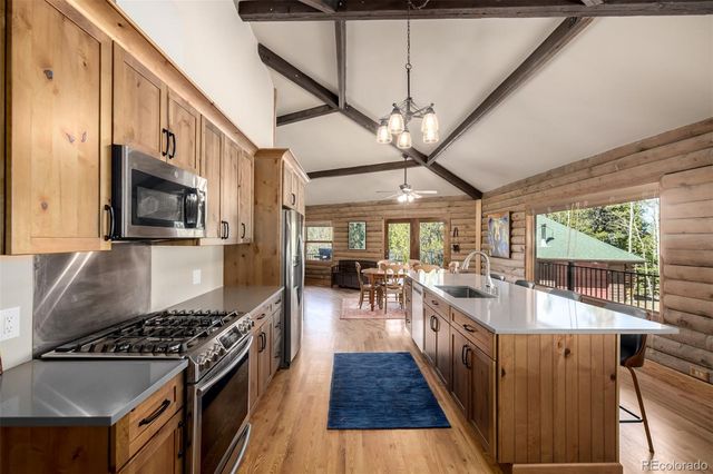 260 Pine Drive, Idaho Springs, CO 80452