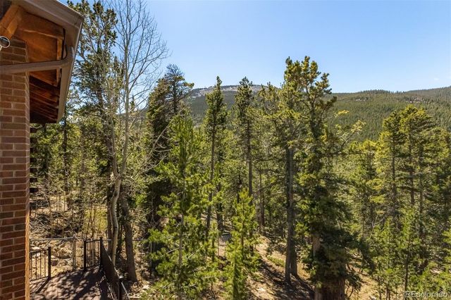 260 Pine Drive, Idaho Springs, CO 80452