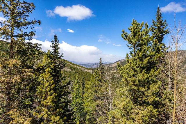 260 Pine Drive, Idaho Springs, CO 80452