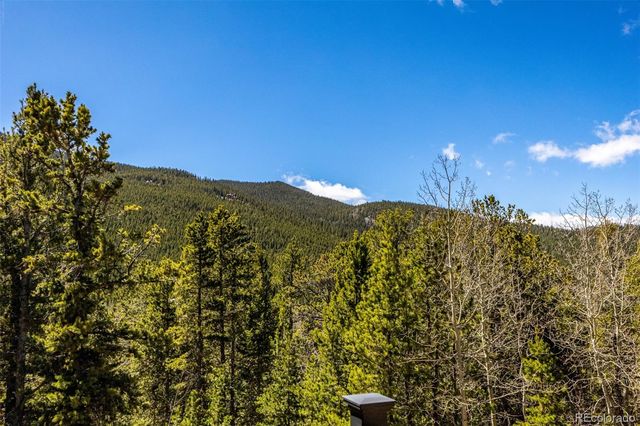 260 Pine Drive, Idaho Springs, CO 80452