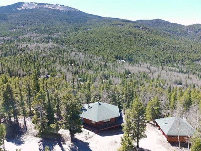 260 Pine Drive, Idaho Springs, CO 80452