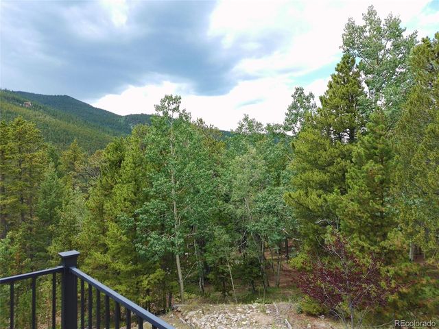 260 Pine Drive, Idaho Springs, CO 80452