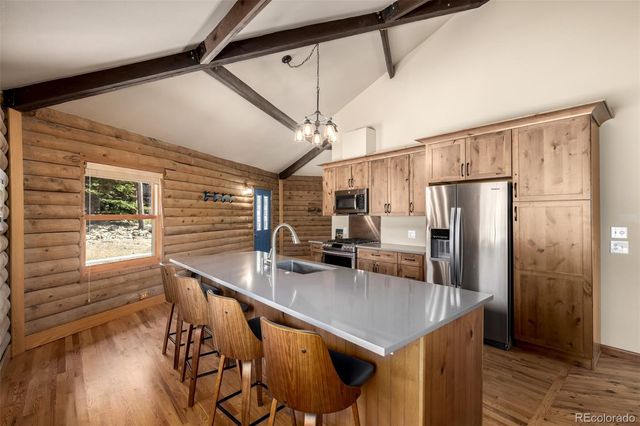 260 Pine Drive, Idaho Springs, CO 80452