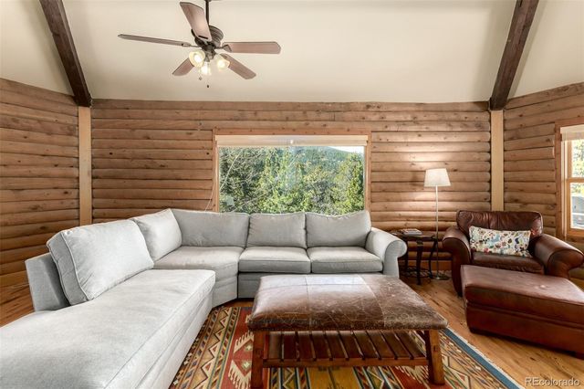 260 Pine Drive, Idaho Springs, CO 80452