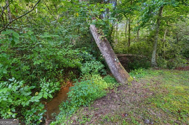 578 Highway 356, Helen, GA 30545
