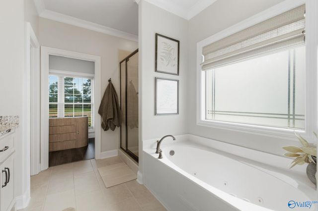 29400 Carnaby Lane, Toney, AL 35773