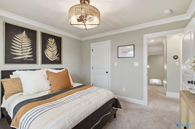 29400 Carnaby Lane, Toney, AL 35773