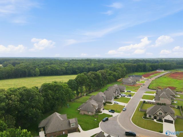 29400 Carnaby Lane, Toney, AL 35773