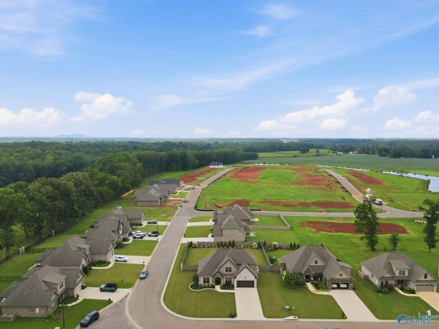 29400 Carnaby Lane, Toney, AL 35773