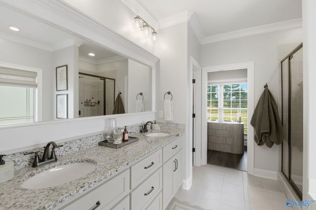 29400 Carnaby Lane, Toney, AL 35773