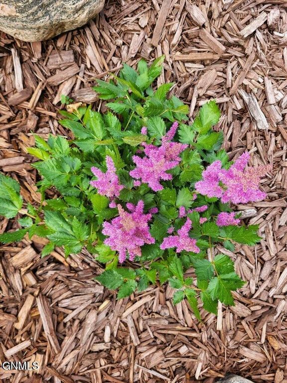 14044 48th Street NW, Williston, ND 58801 photo 82