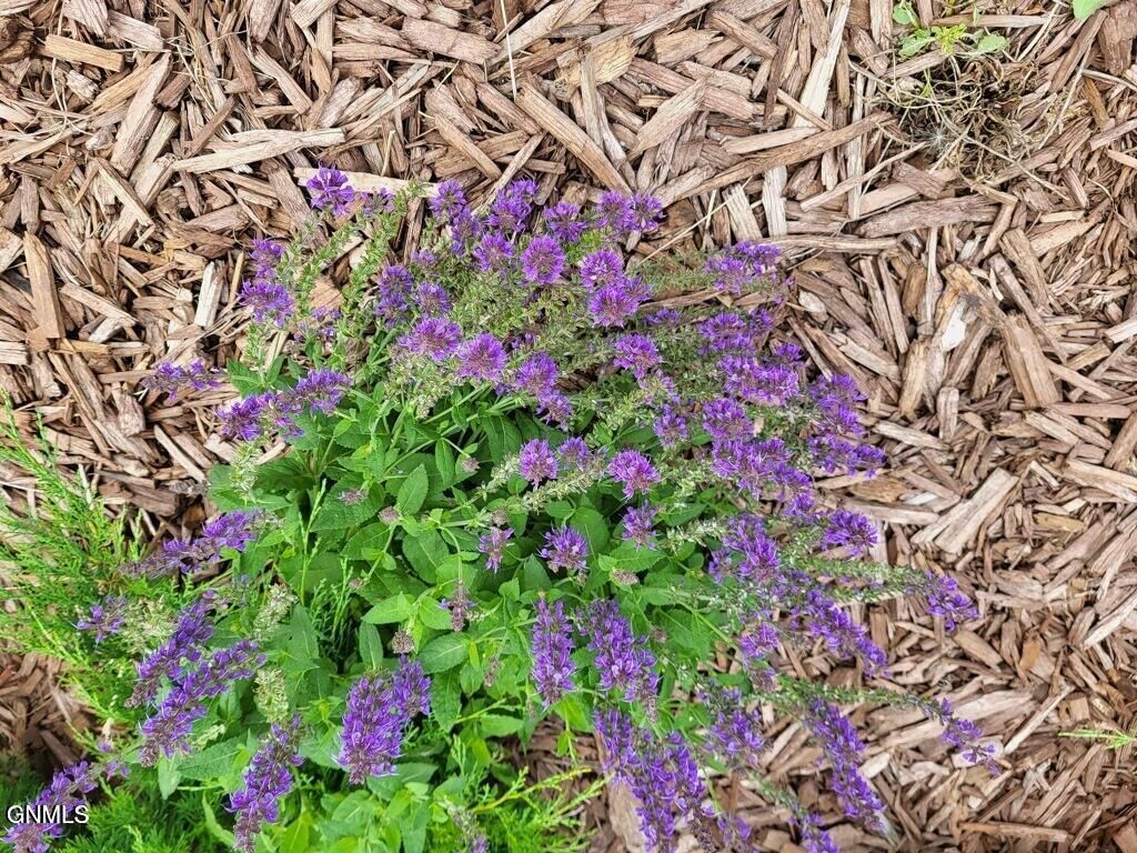 14044 48th Street NW, Williston, ND 58801 photo 84