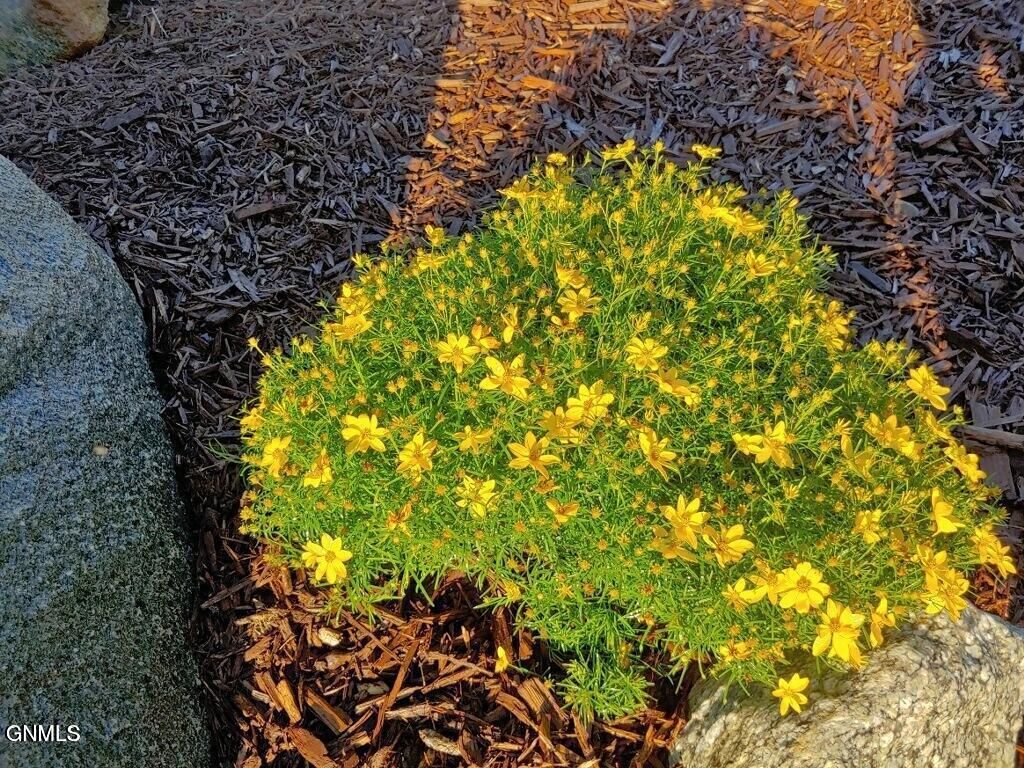 14044 48th Street NW, Williston, ND 58801 photo 86