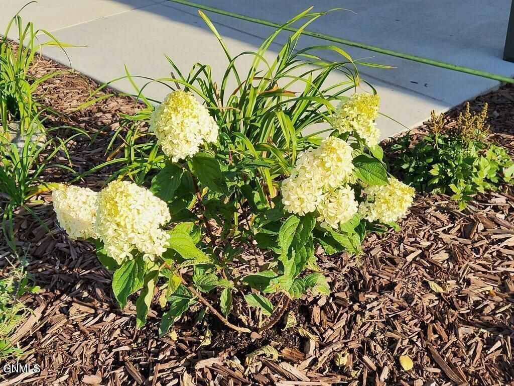 14044 48th Street NW, Williston, ND 58801 photo 96