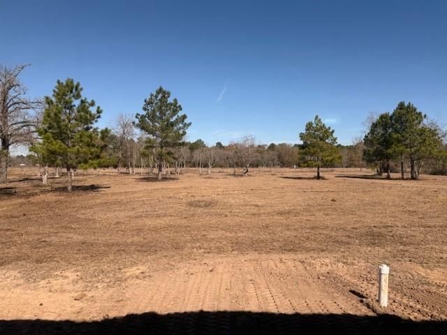 32310 Reids Prairie Road, Waller, TX 77484