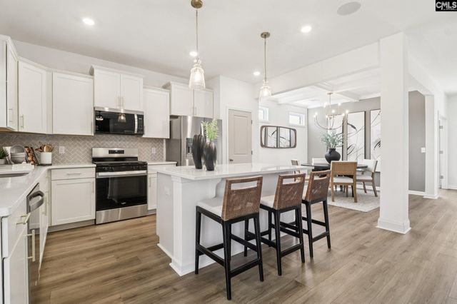 606 Griffon Drive, Chapin, SC 29036