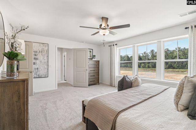 606 Griffon Drive, Chapin, SC 29036