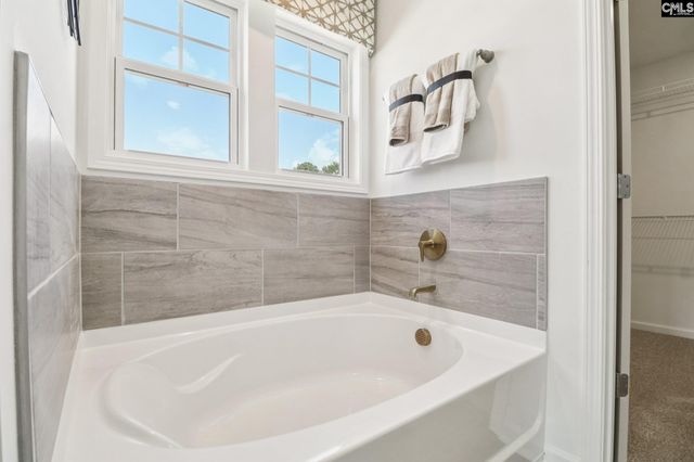 606 Griffon Drive, Chapin, SC 29036