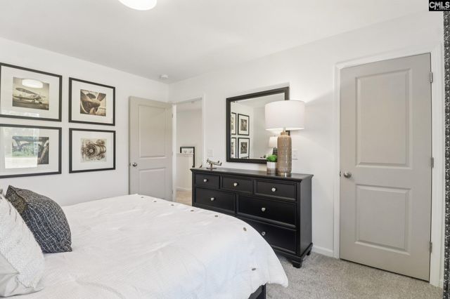 606 Griffon Drive, Chapin, SC 29036