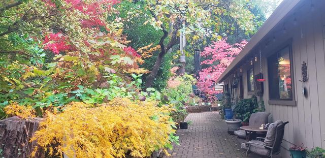 16560 Leafwood Ct, Meadow Vista, CA 95722