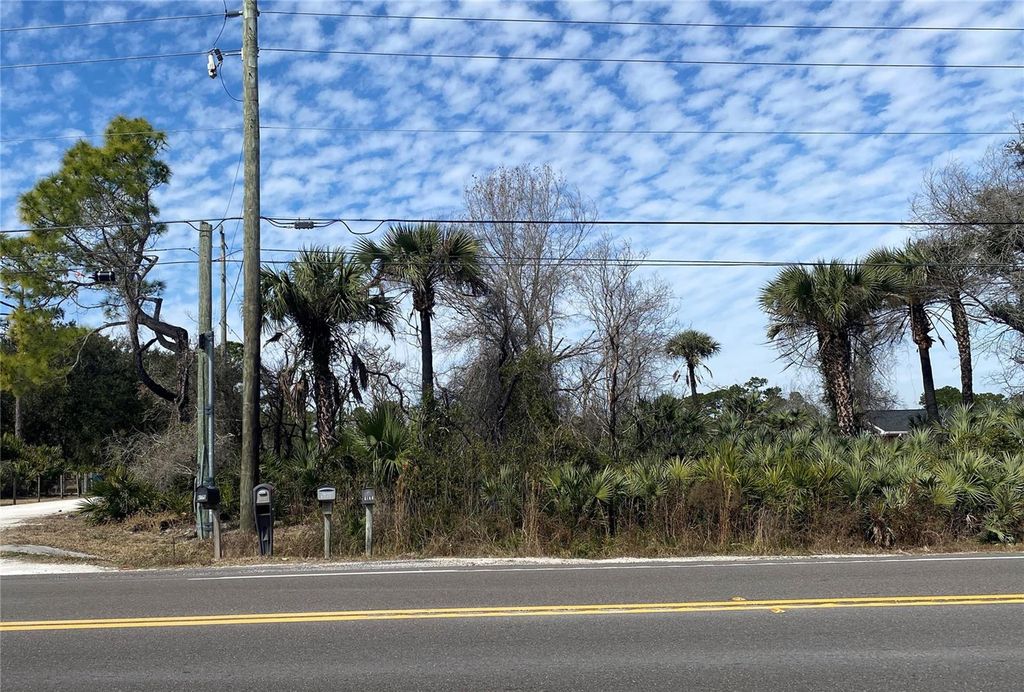 Image 12 of property listing at SR-415, New Smyrna Beach, FL 32168