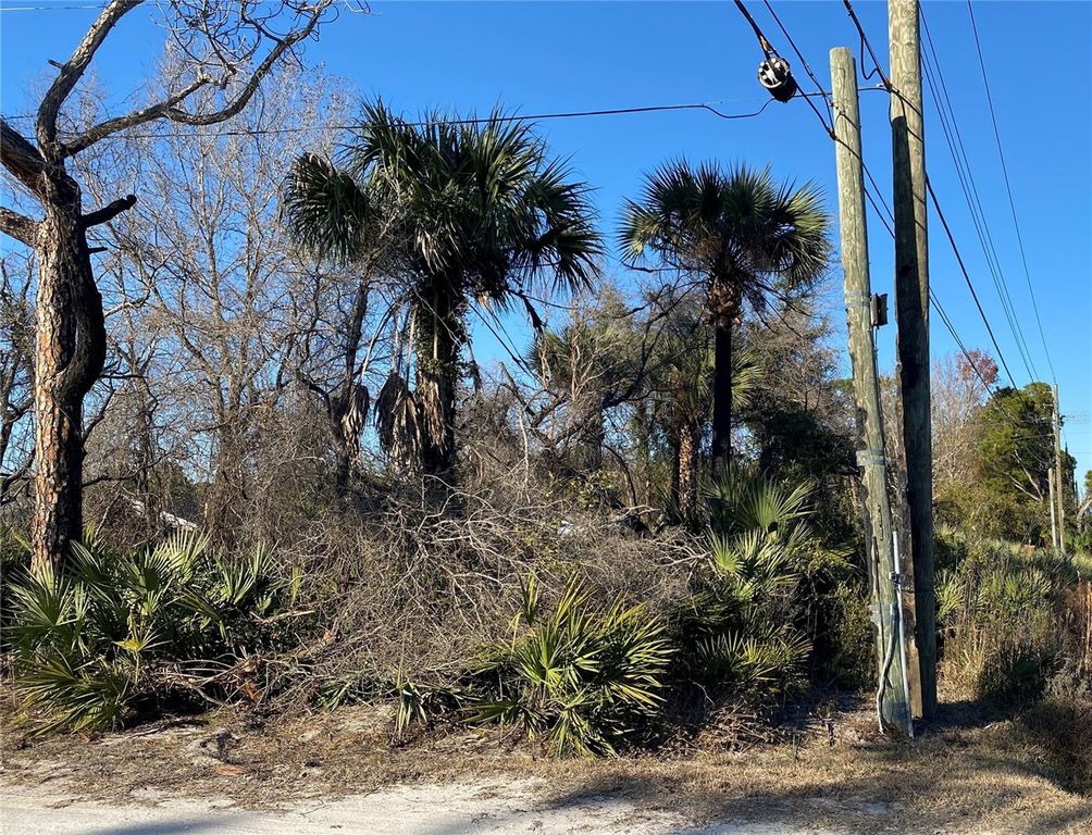 Image 13 of property listing at SR-415, New Smyrna Beach, FL 32168