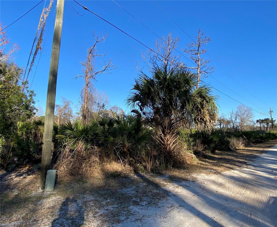 Image 14 of property listing at SR-415, New Smyrna Beach, FL 32168