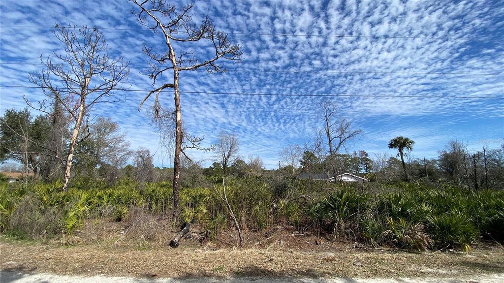 Image 3 of property listing at SR-415, New Smyrna Beach, FL 32168