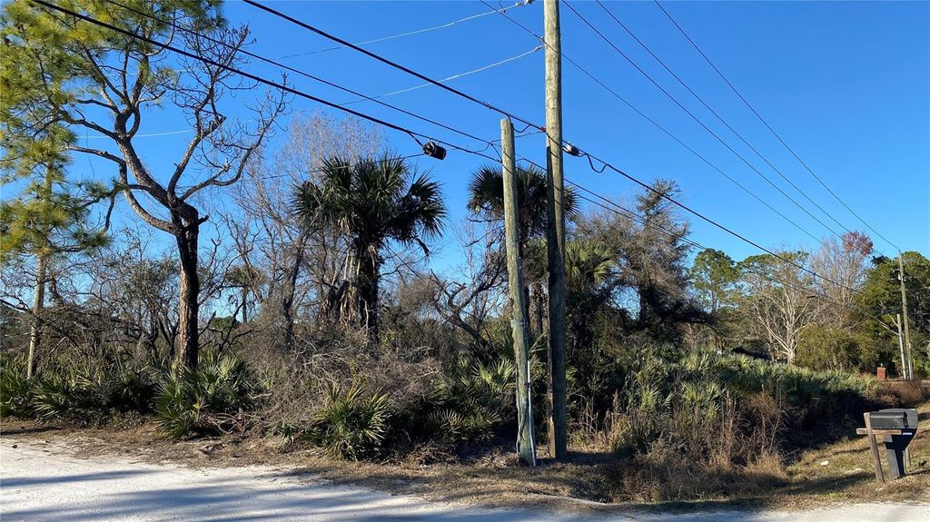 Image 4 of property listing at SR-415, New Smyrna Beach, FL 32168