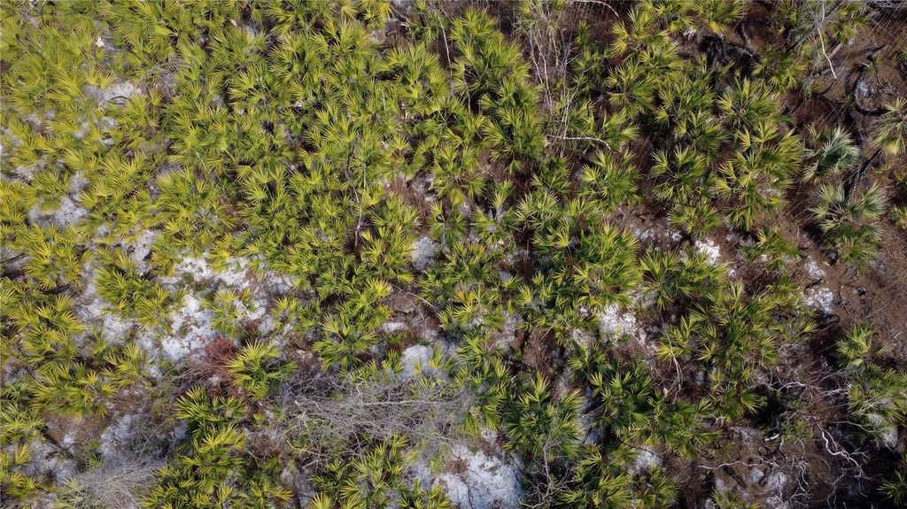 Image 7 of property listing at SR-415, New Smyrna Beach, FL 32168