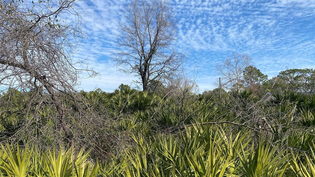 Image 8 of property listing at SR-415, New Smyrna Beach, FL 32168