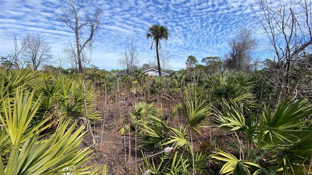 Image 9 of property listing at SR-415, New Smyrna Beach, FL 32168