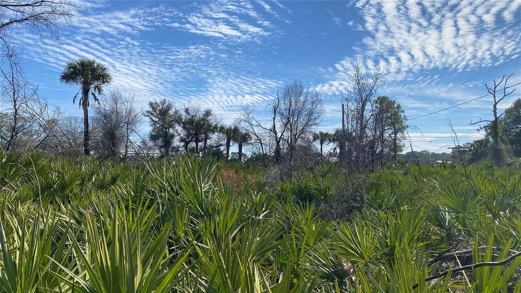 Image 10 of property listing at SR-415, New Smyrna Beach, FL 32168