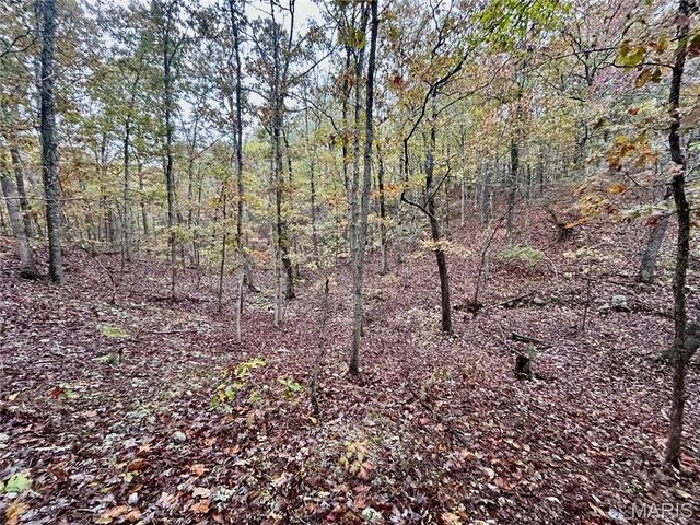 TBD Tract 3 County Road 4215, Salem, MO 65560