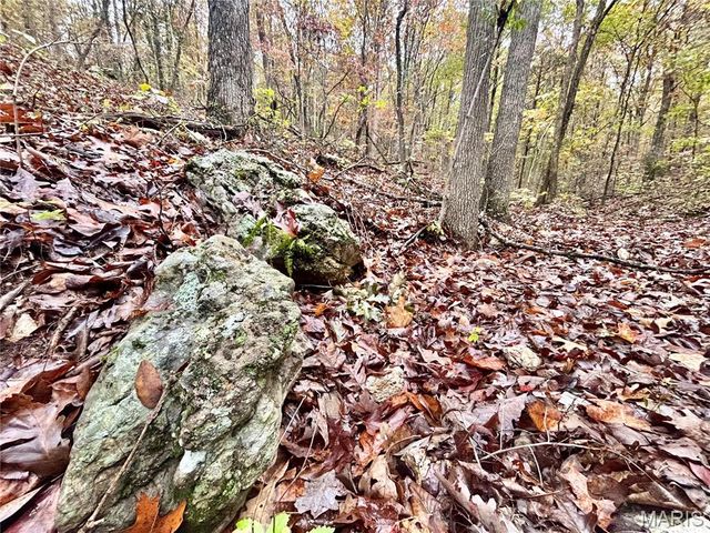 TBD Tract 3 County Road 4215, Salem, MO 65560