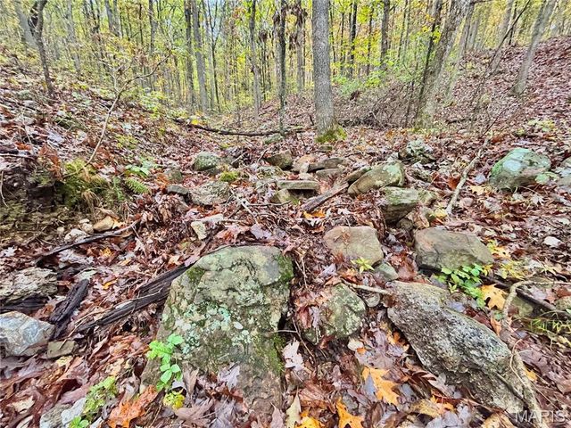 TBD Tract 3 County Road 4215, Salem, MO 65560