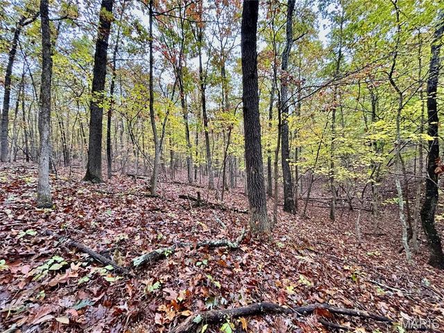 TBD Tract 3 County Road 4215, Salem, MO 65560