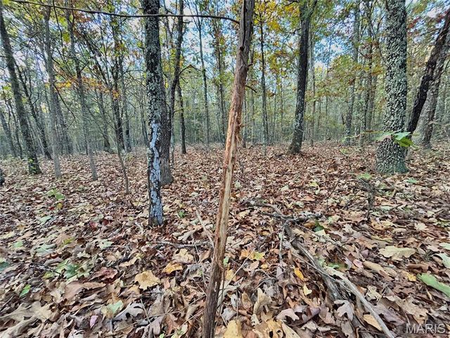 TBD Tract 3 County Road 4215, Salem, MO 65560