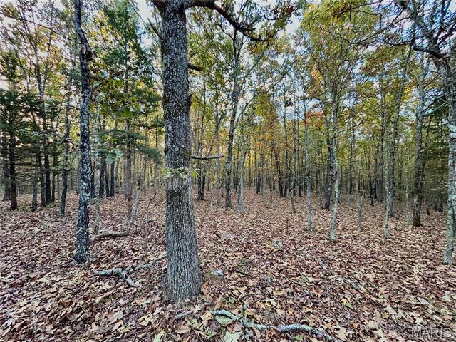 TBD Tract 3 County Road 4215, Salem, MO 65560