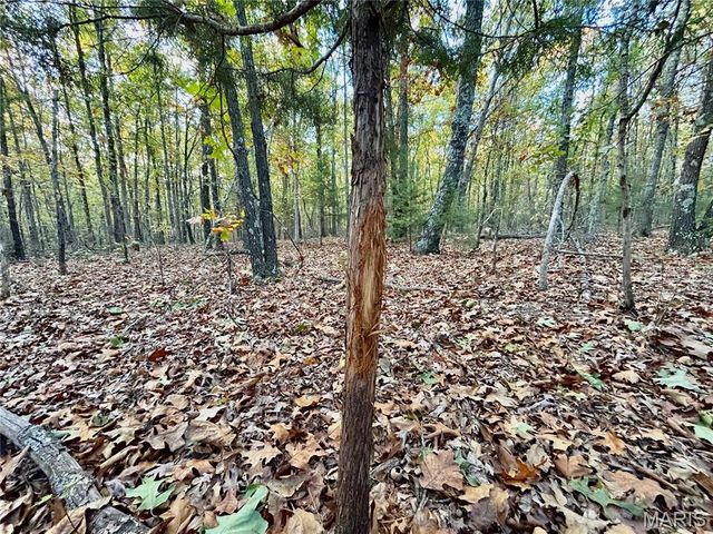 TBD Tract 3 County Road 4215, Salem, MO 65560